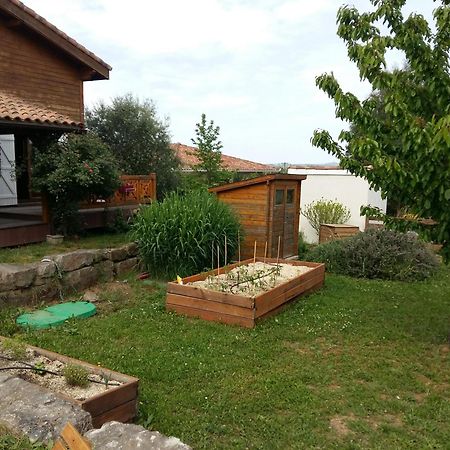 Ecolodge Bellevue Albi Eksteriør bilde
