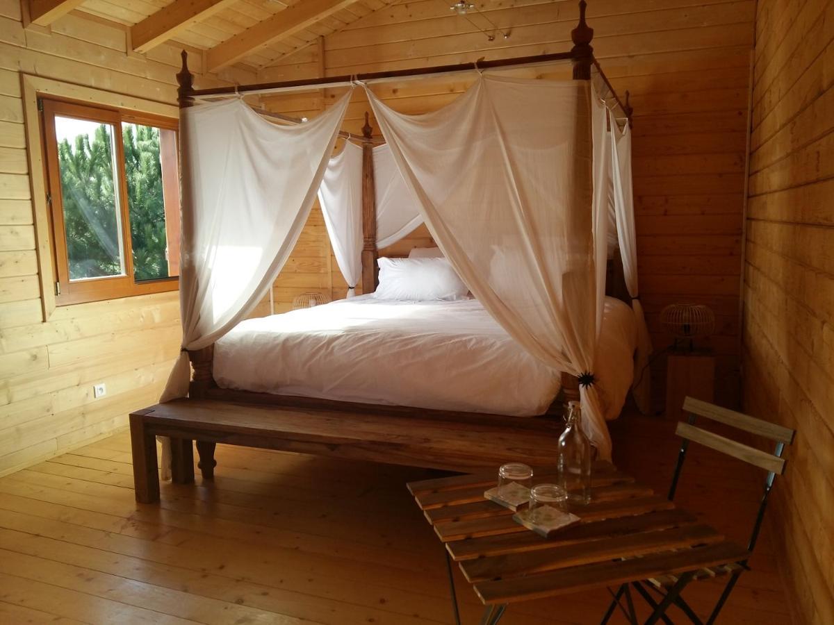 Ecolodge Bellevue Albi Eksteriør bilde